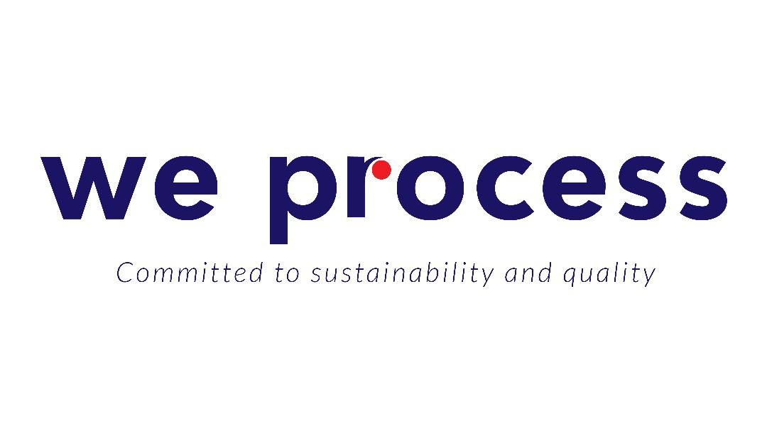 We Process Logo